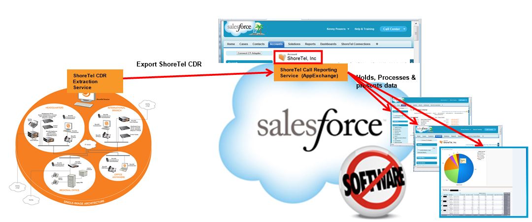 SalesForceCallReportingService